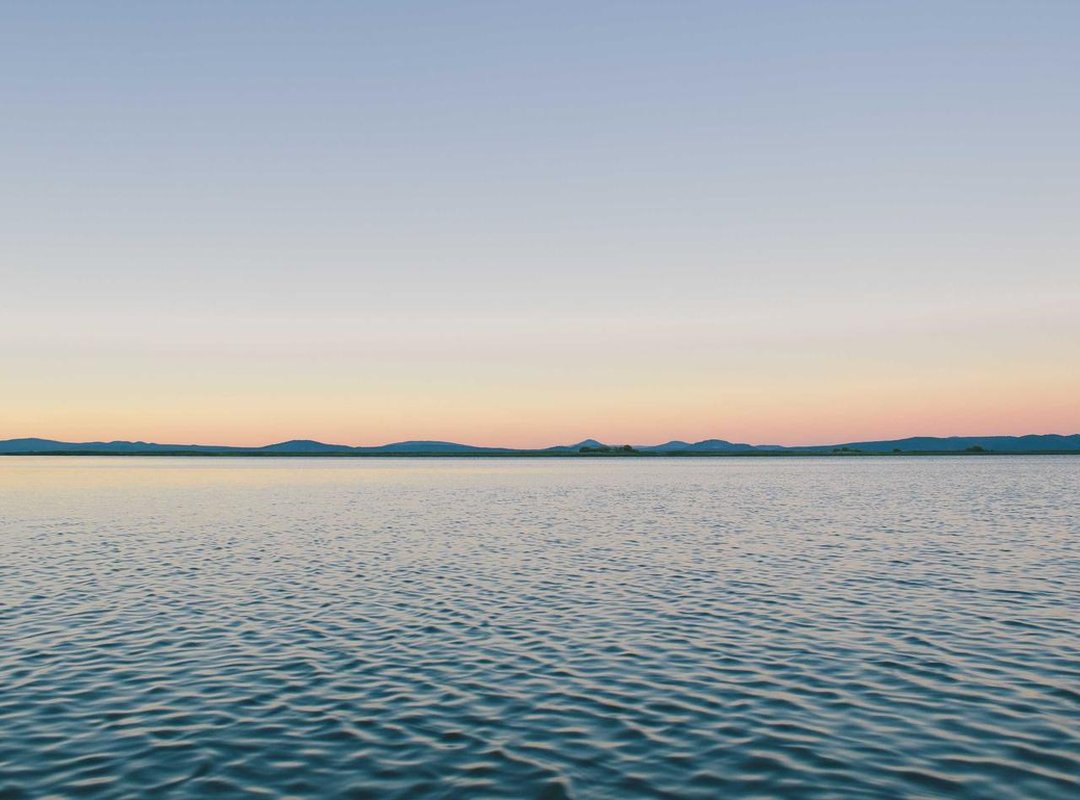 For the Caffeine-Fueled: Witty Greetings for Coffee and Tea Lovers