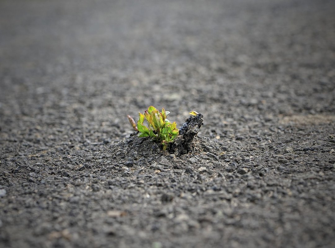 emotional resilience building