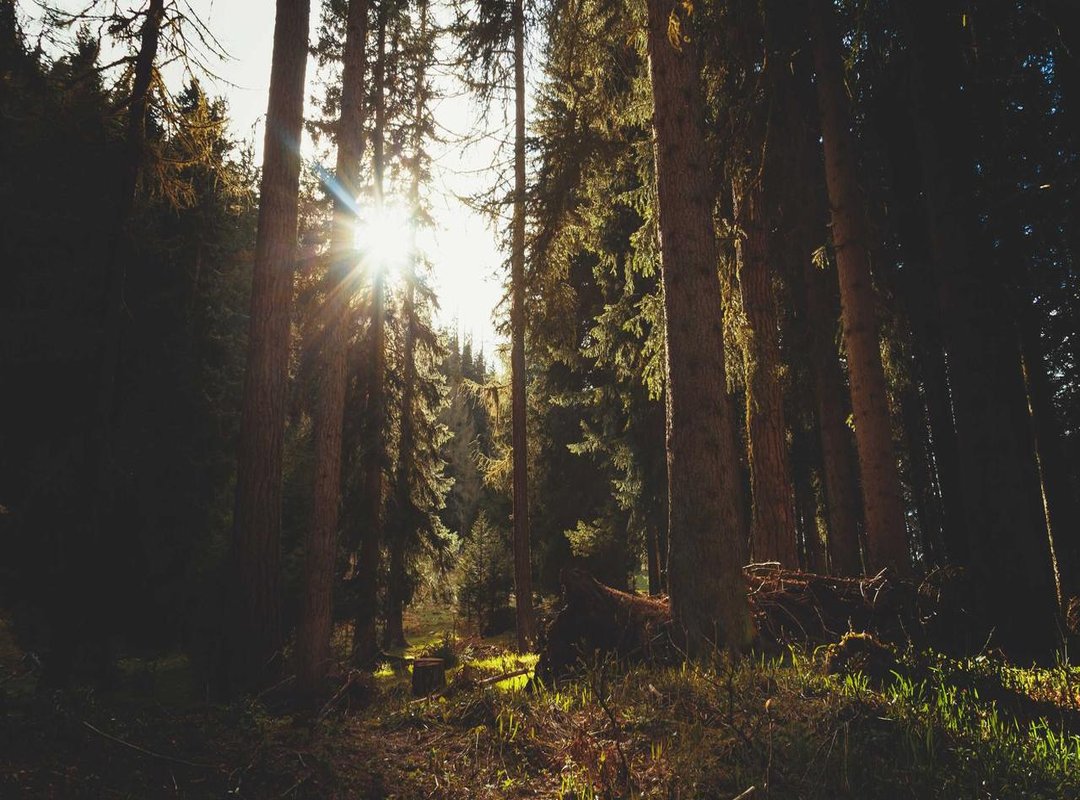 Beyond the Welcome Offer: How to Find Ongoing Free Plays