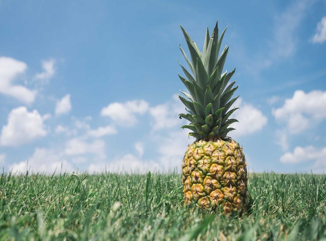 Beyond Physical Acts: Valuing Their Wisdom and Experience