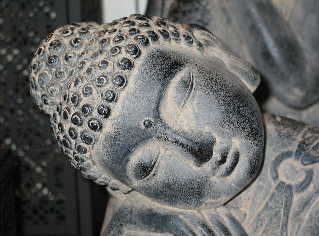 power of sleep wellness