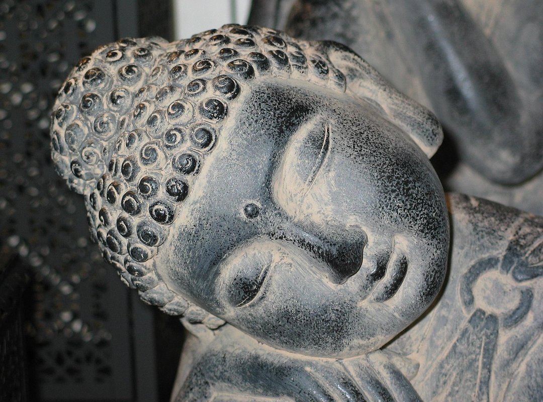 power of sleep wellness