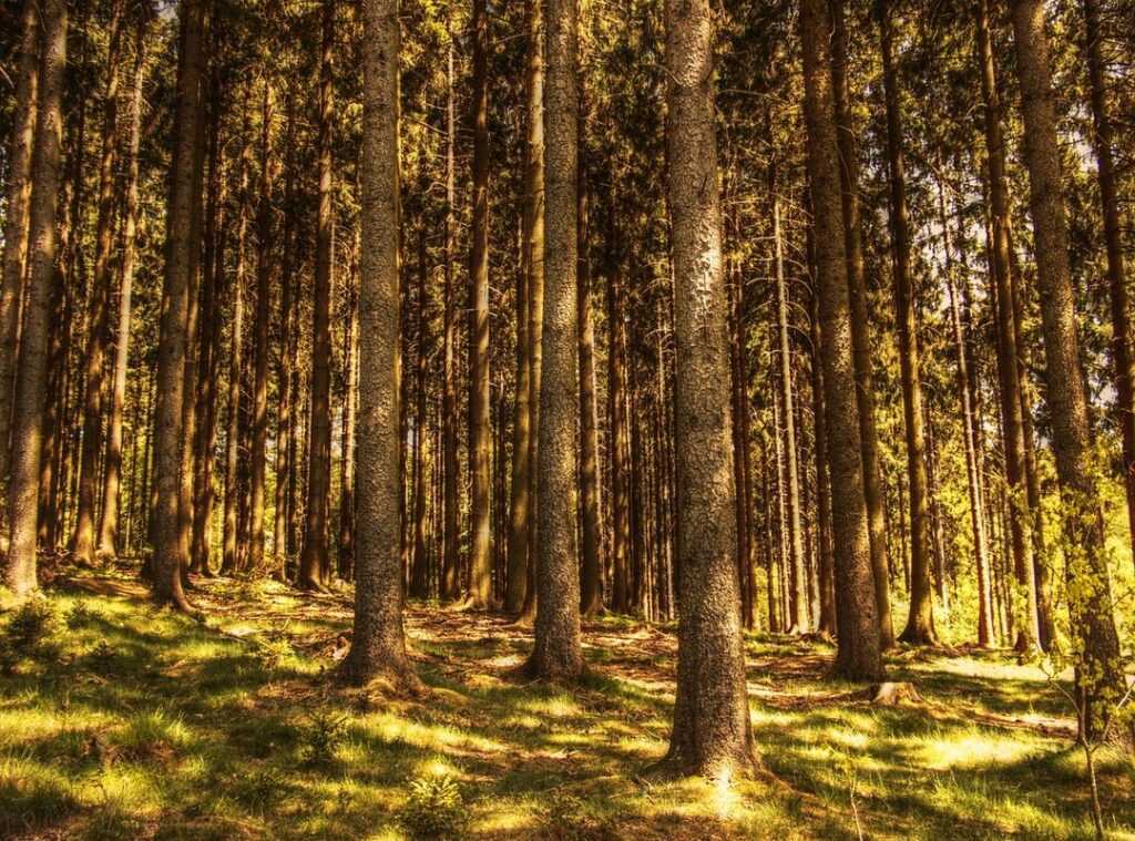 productivity through meditation