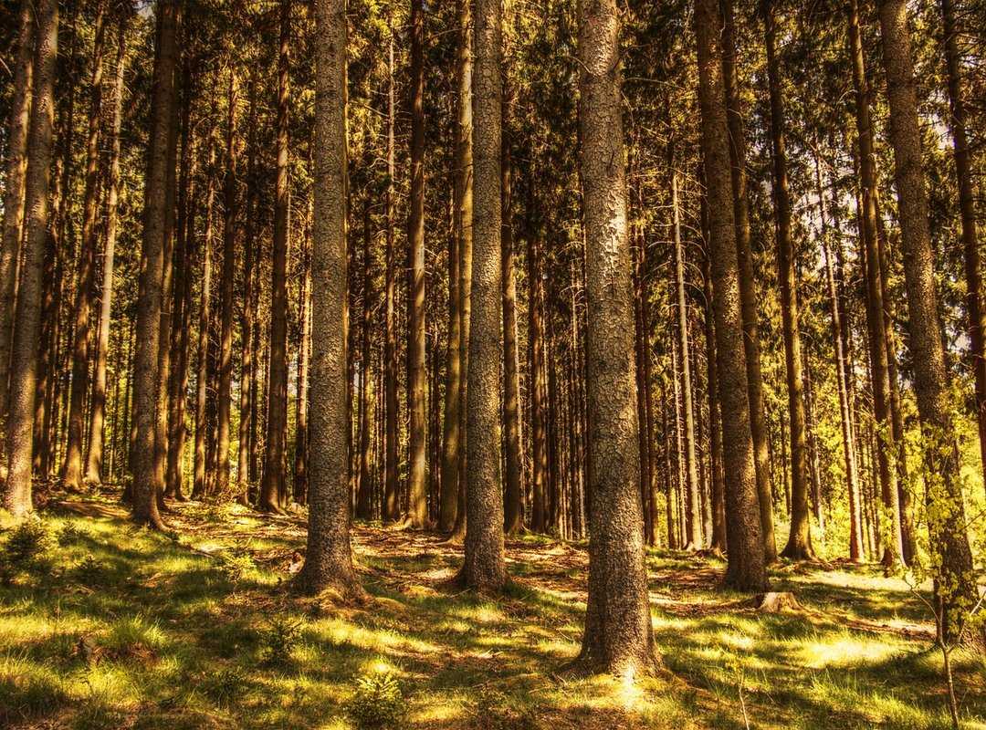 productivity through meditation