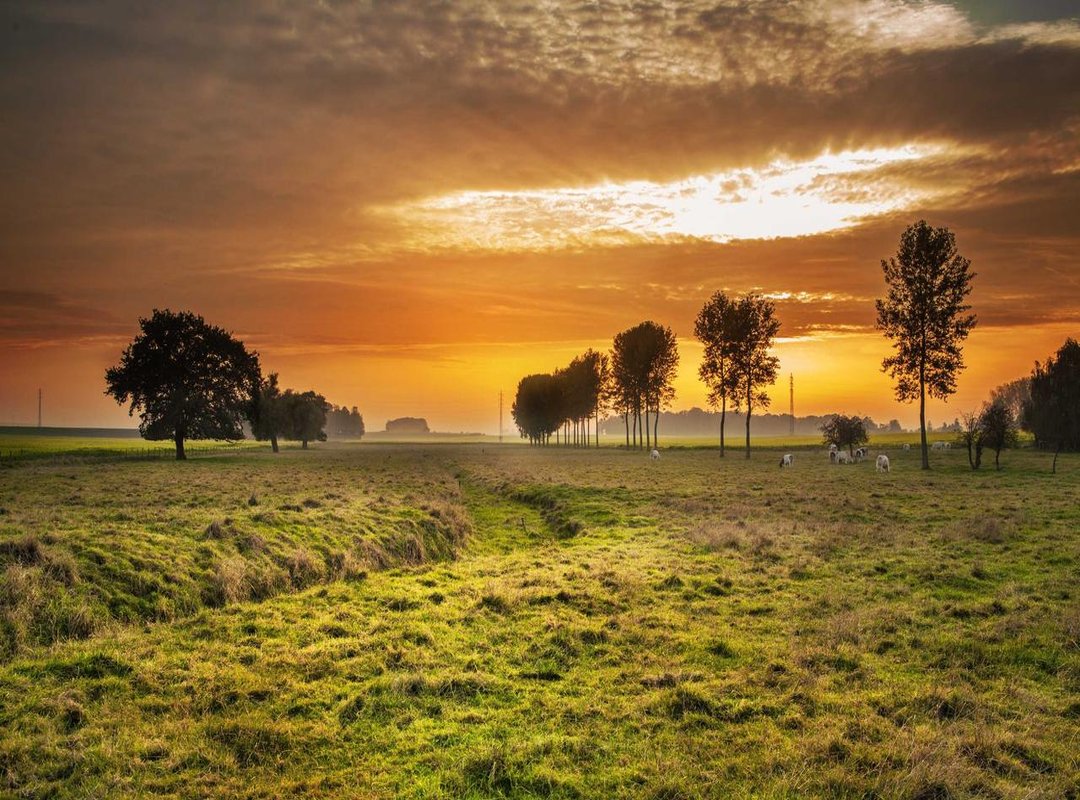 Step-by-Step: How to Find Any Syamimifzain Video on Twitter